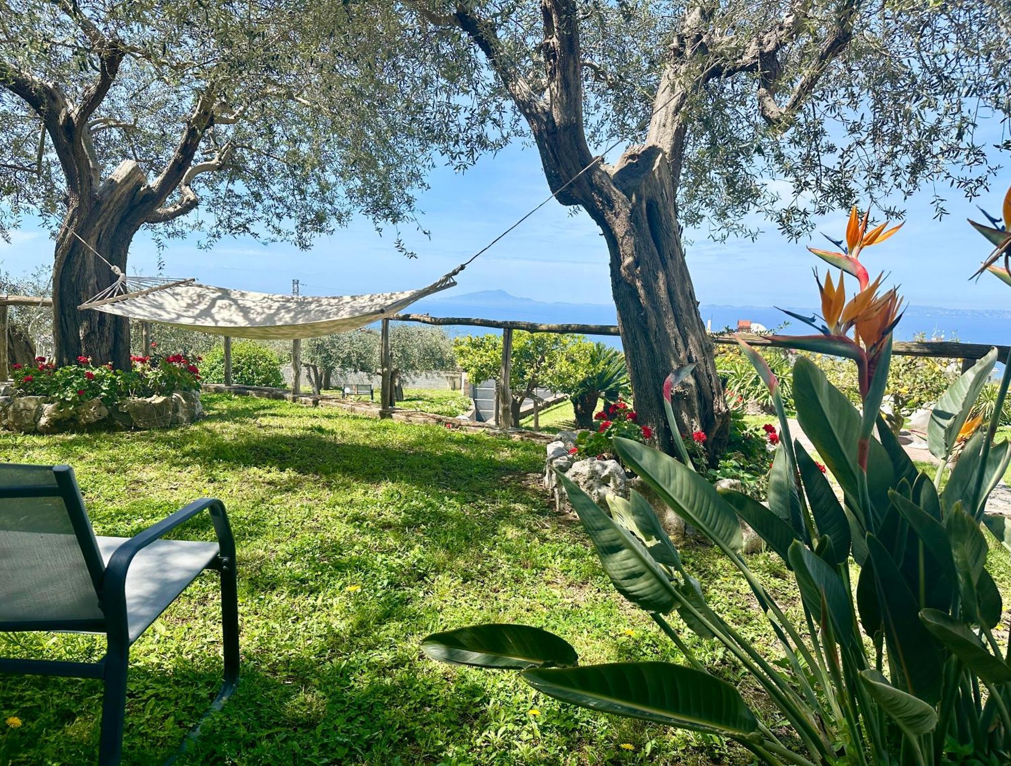 Raf Vico Equense
